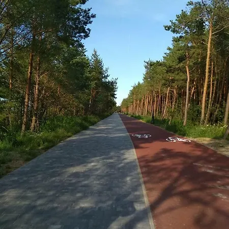 Goscinne - U Wiktorii